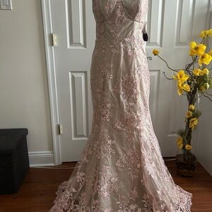 Elegant Pink Lace Prom Dress